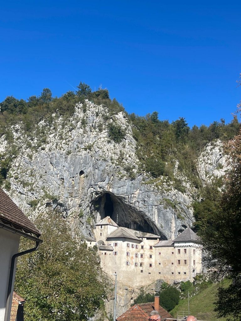 zdj (15)